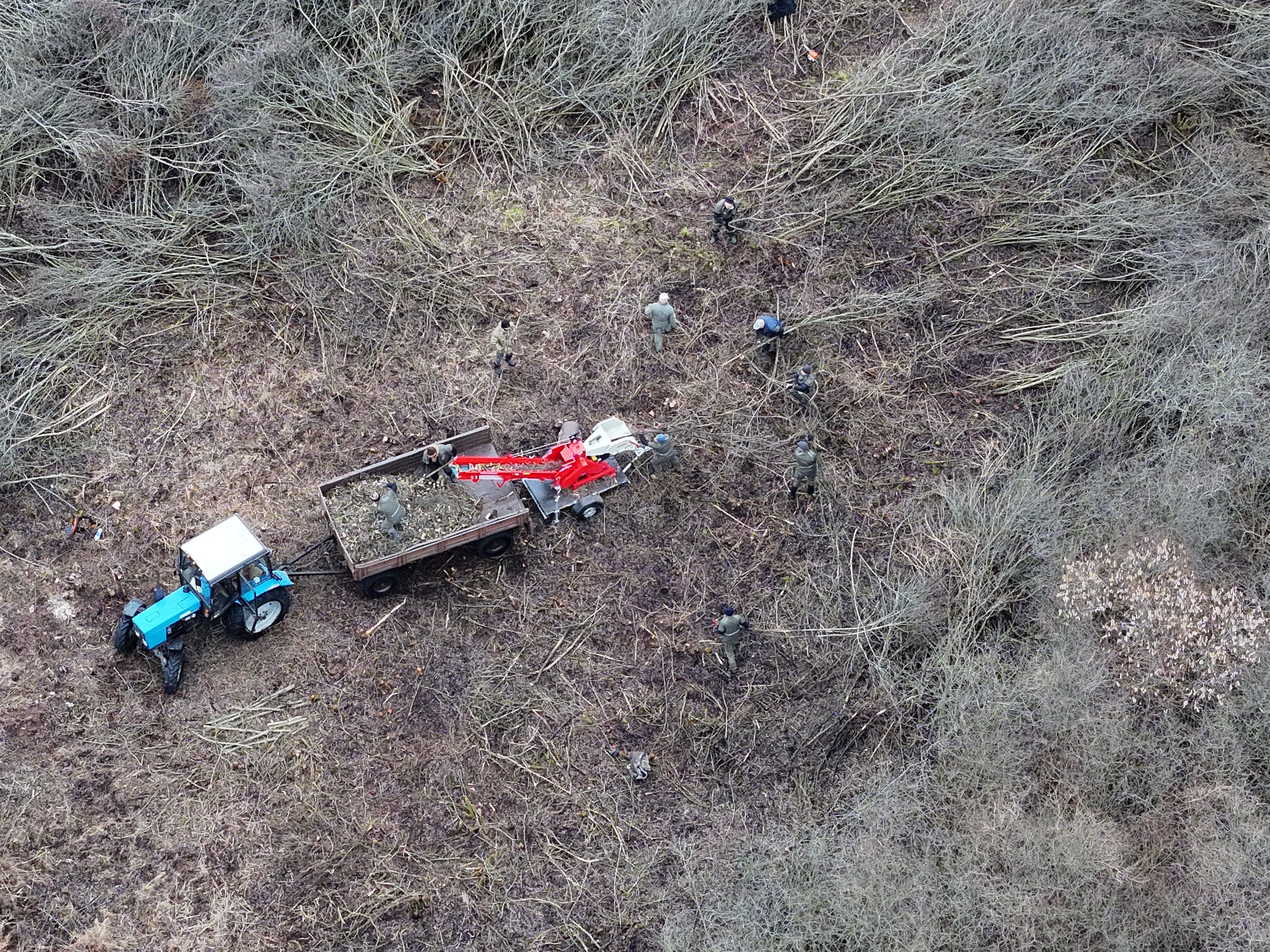 Результати впровадження першого року проєкту з відновлення популяції очеретянки прудкої в Україні