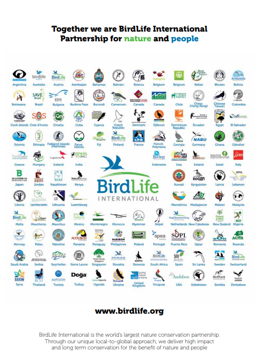 BirdLife family.jpg