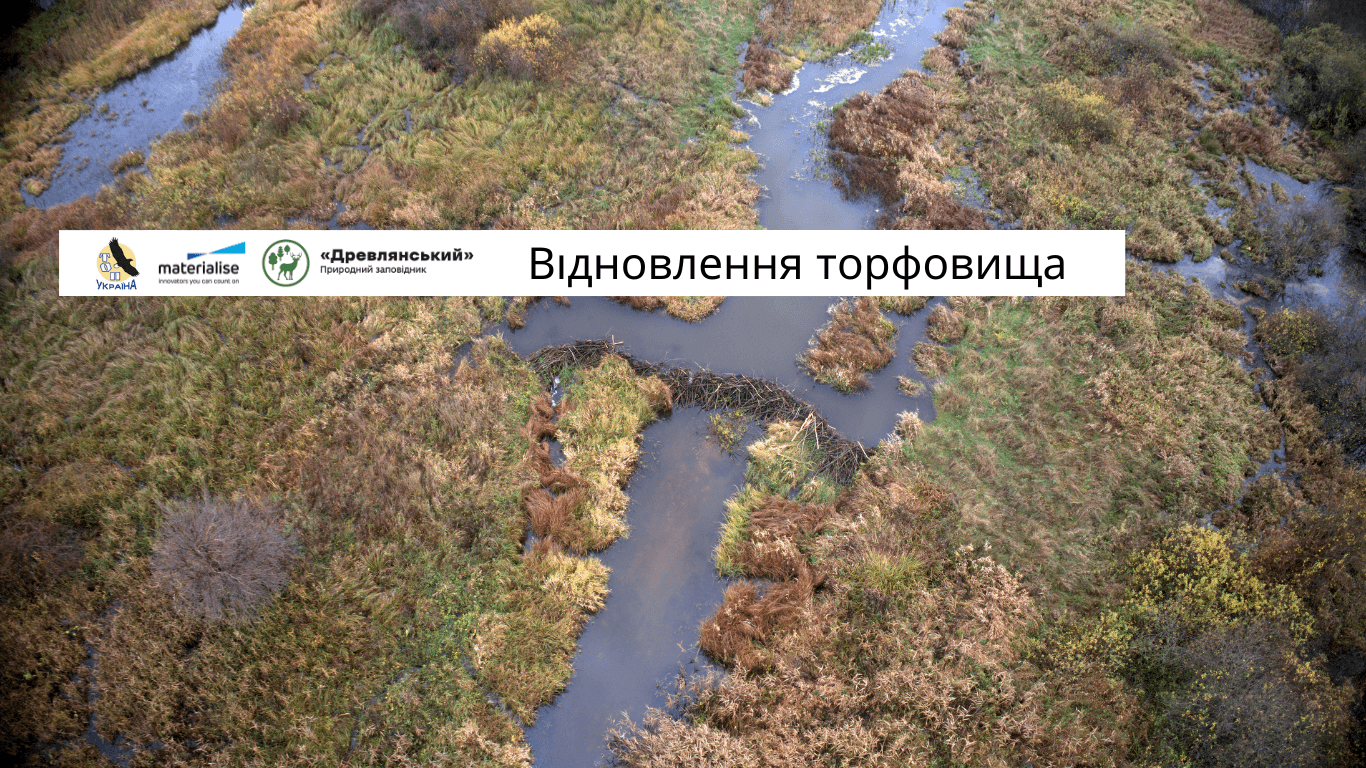 Відновлення торфовища у природному заповіднику «Древлянський»