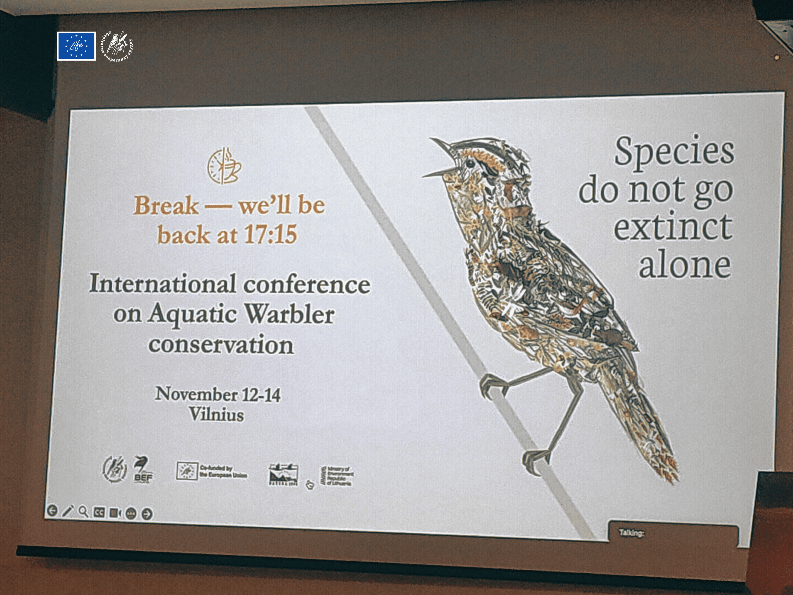 Міжнародна конференція щодо збереження найрідкіснішого співочого птаха Європи – очеретянки прудкої 