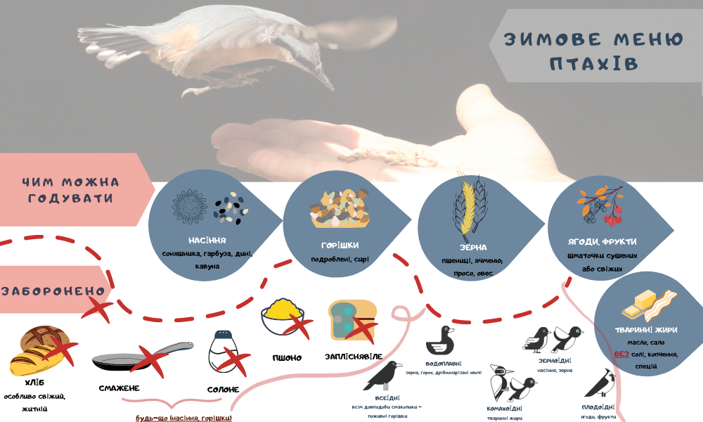 ГОРІШКИ подроблені, сирі.png