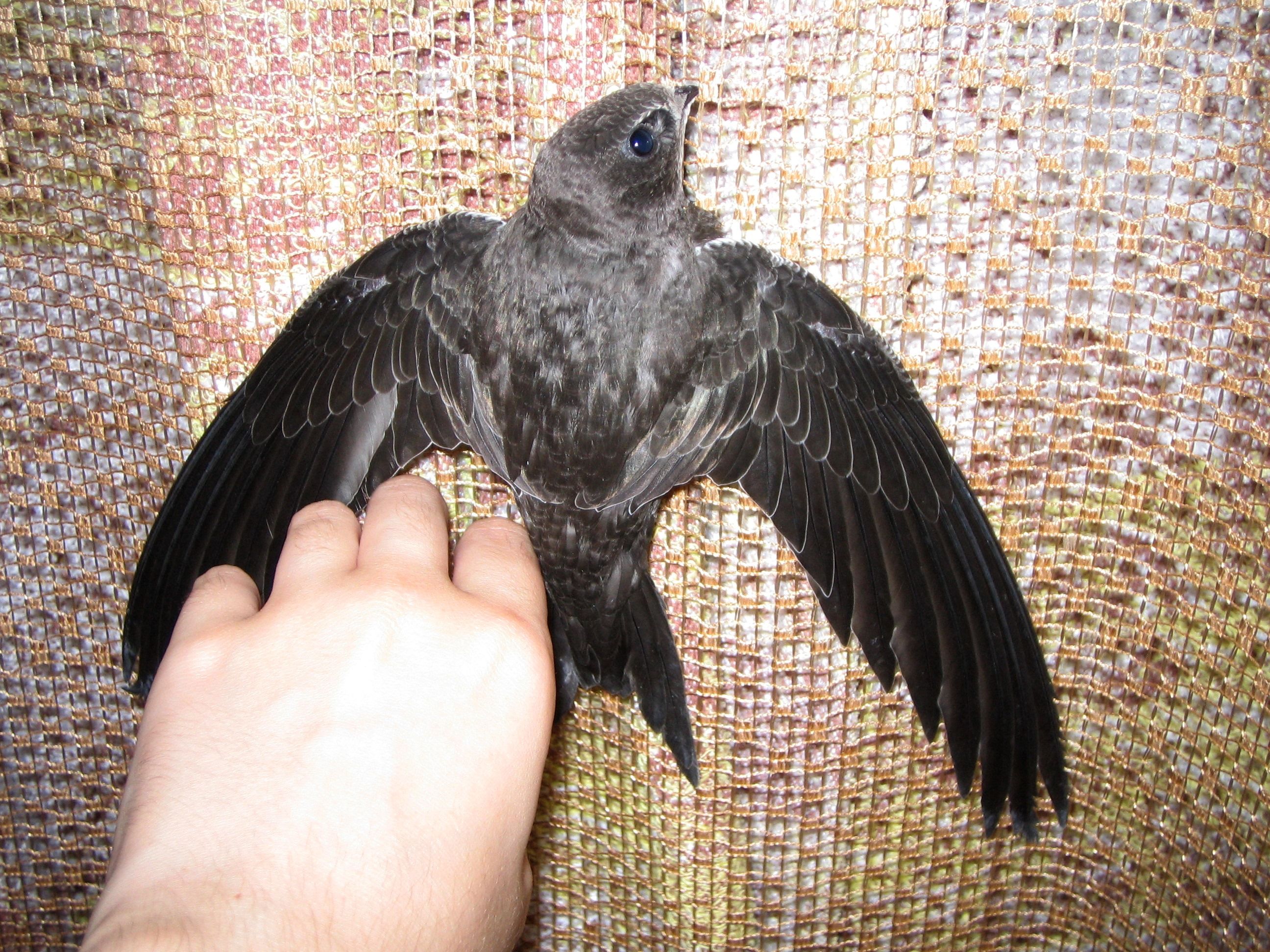 Изображения 017.JPG