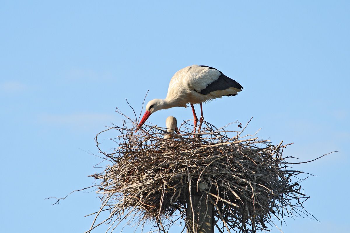 Кузьм_н Юр_й 1.jpg