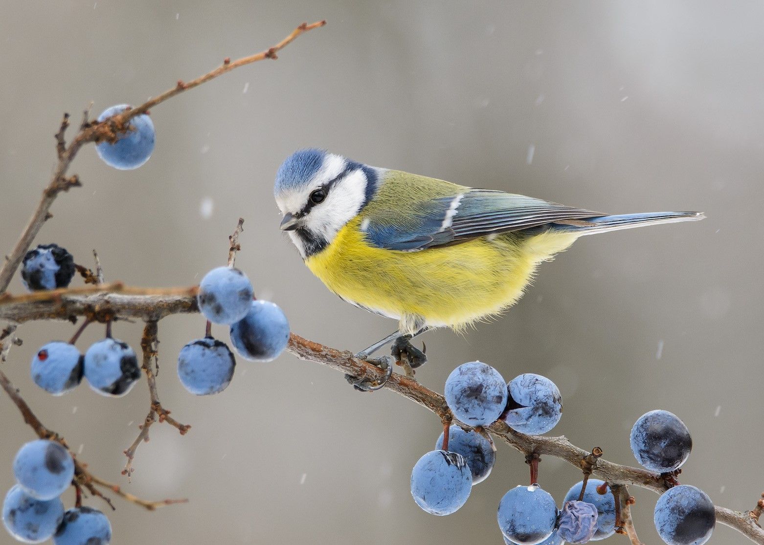 Фотовиставка Миколи Кириченка «Краса в природі» 