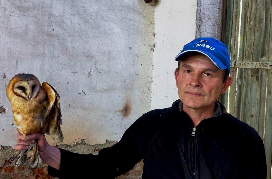 Успішне завершення весняно-літнього моніторингу популяції сипухи в Україні