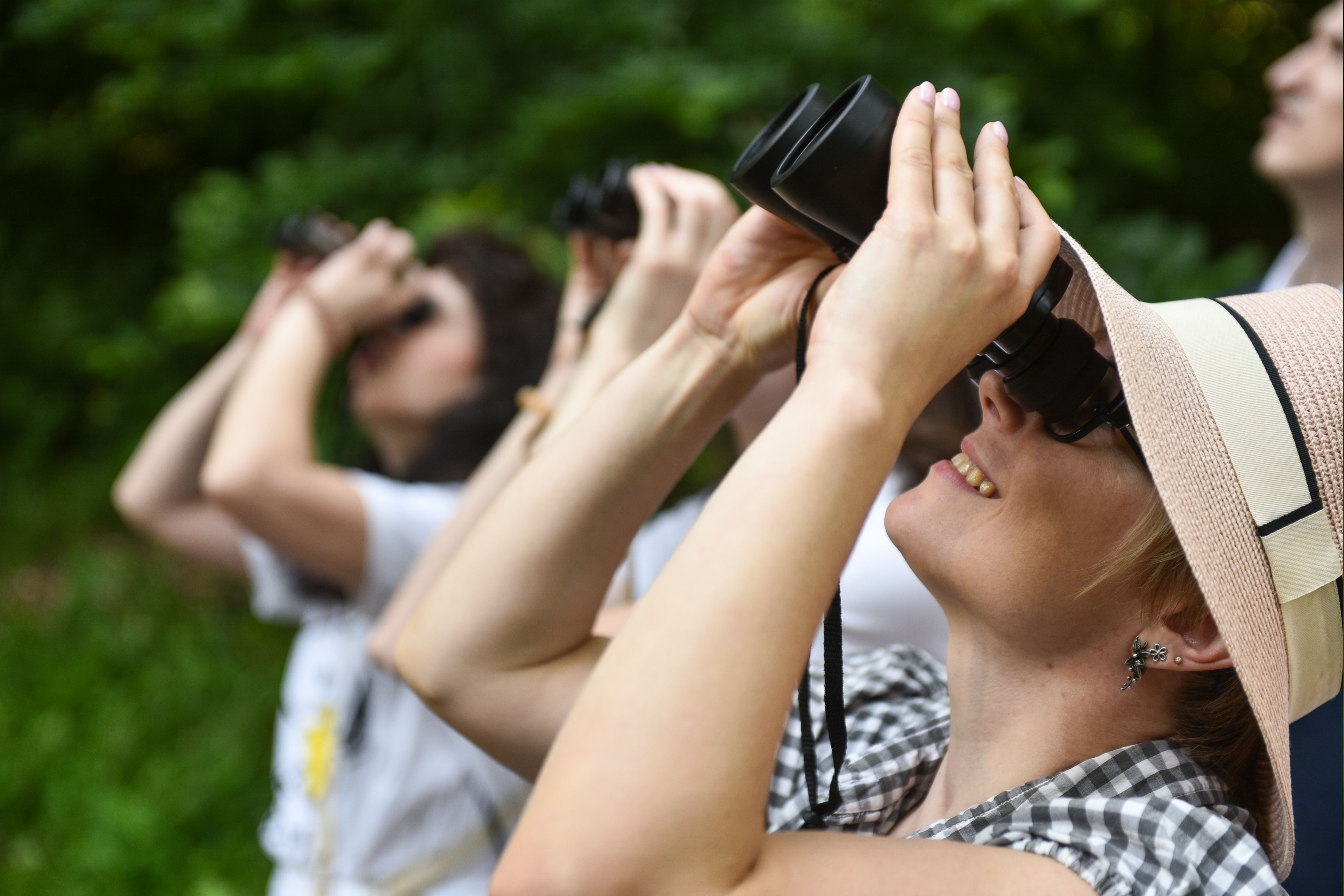 ТОП-локації Києва для спостереження за птахами