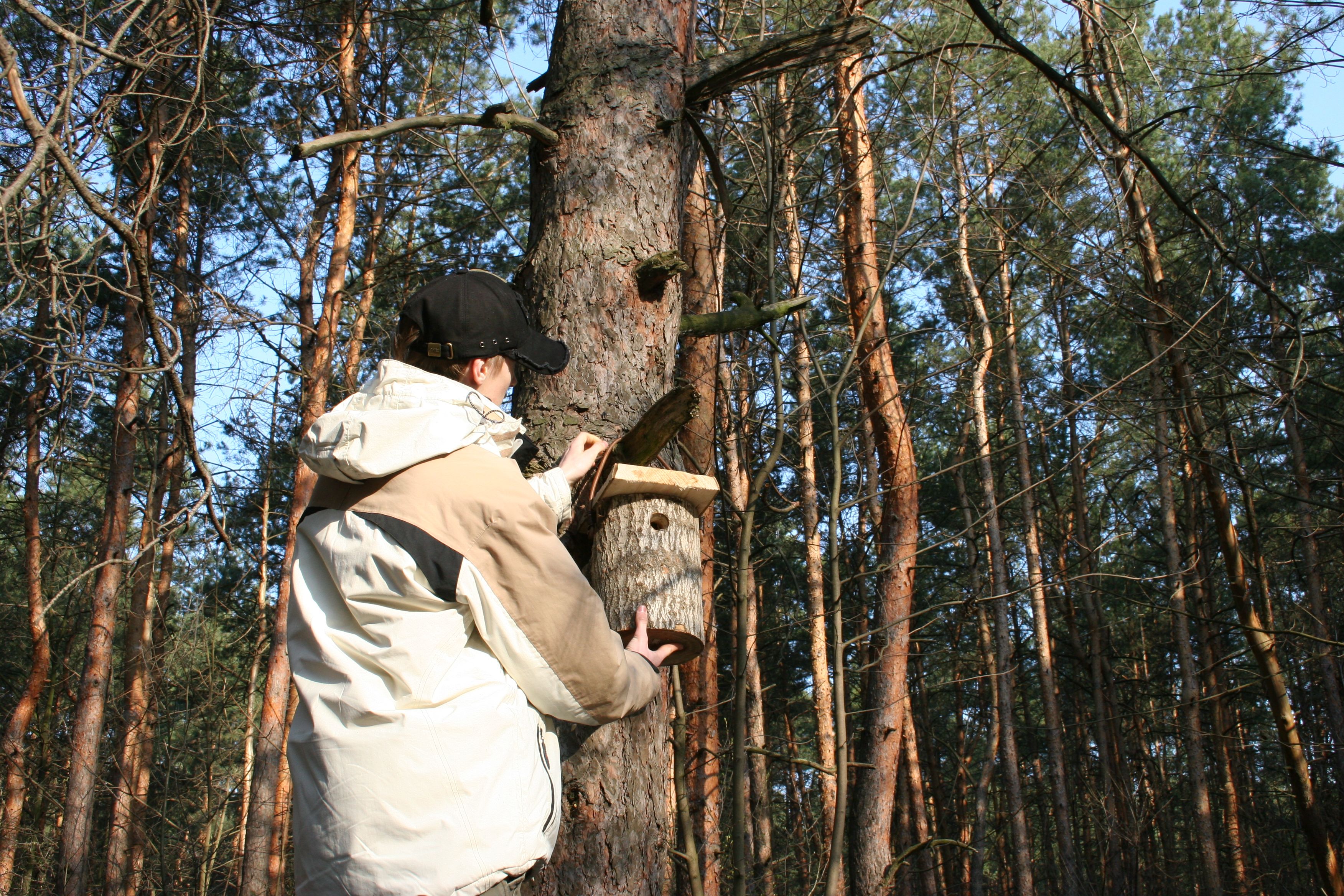 Монтаж штучної гніздівлі на узліссі.JPG