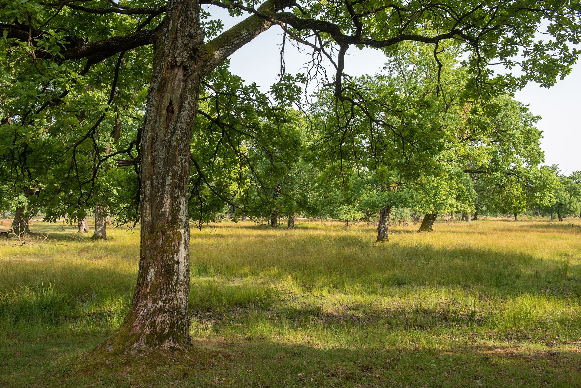24 ТИСЯЧІ ГЕКТАРІВ ДЛЯ ЛЮДЕЙ І ПРИРОДИ