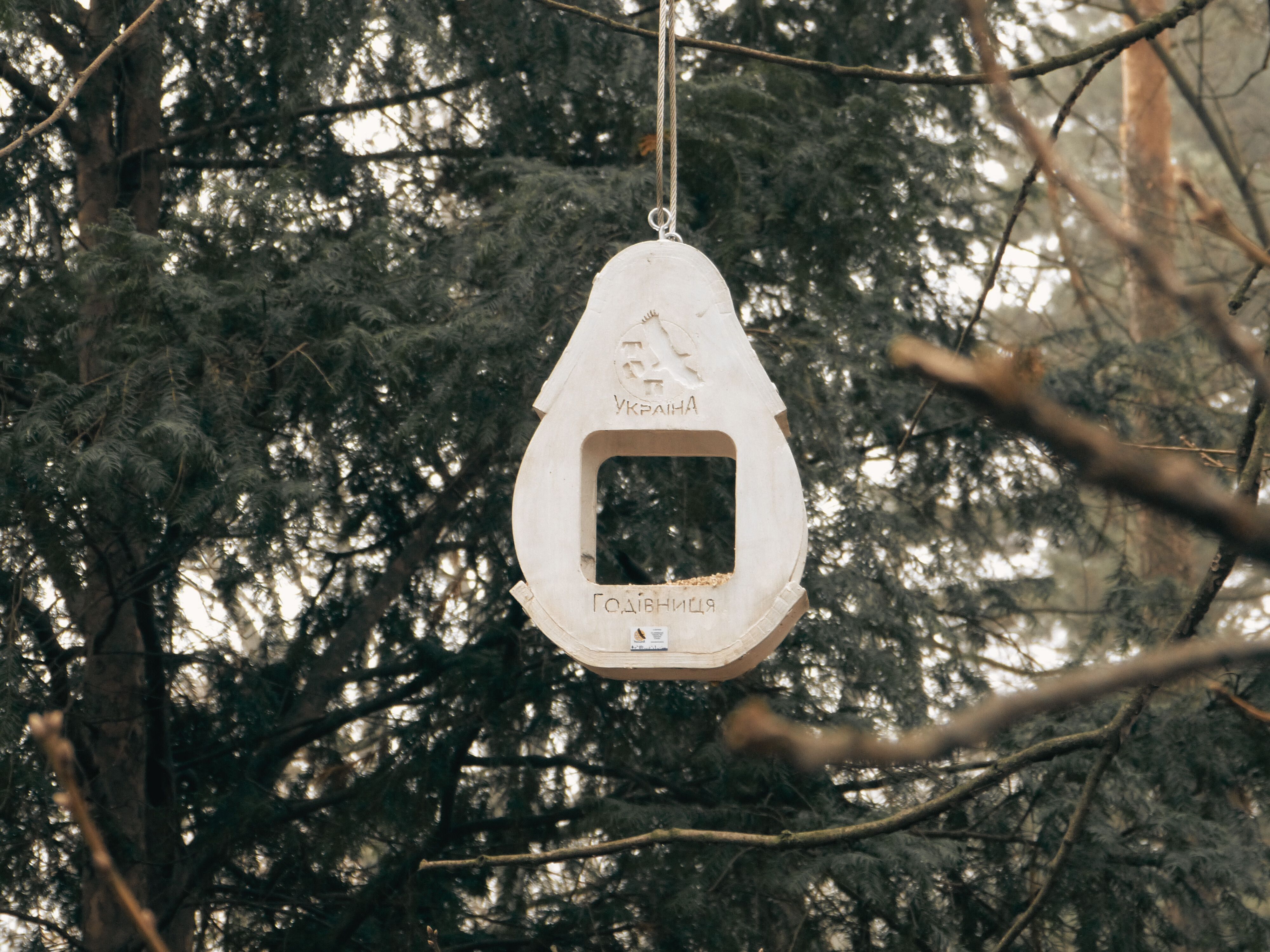 Підтримка птахів міста  