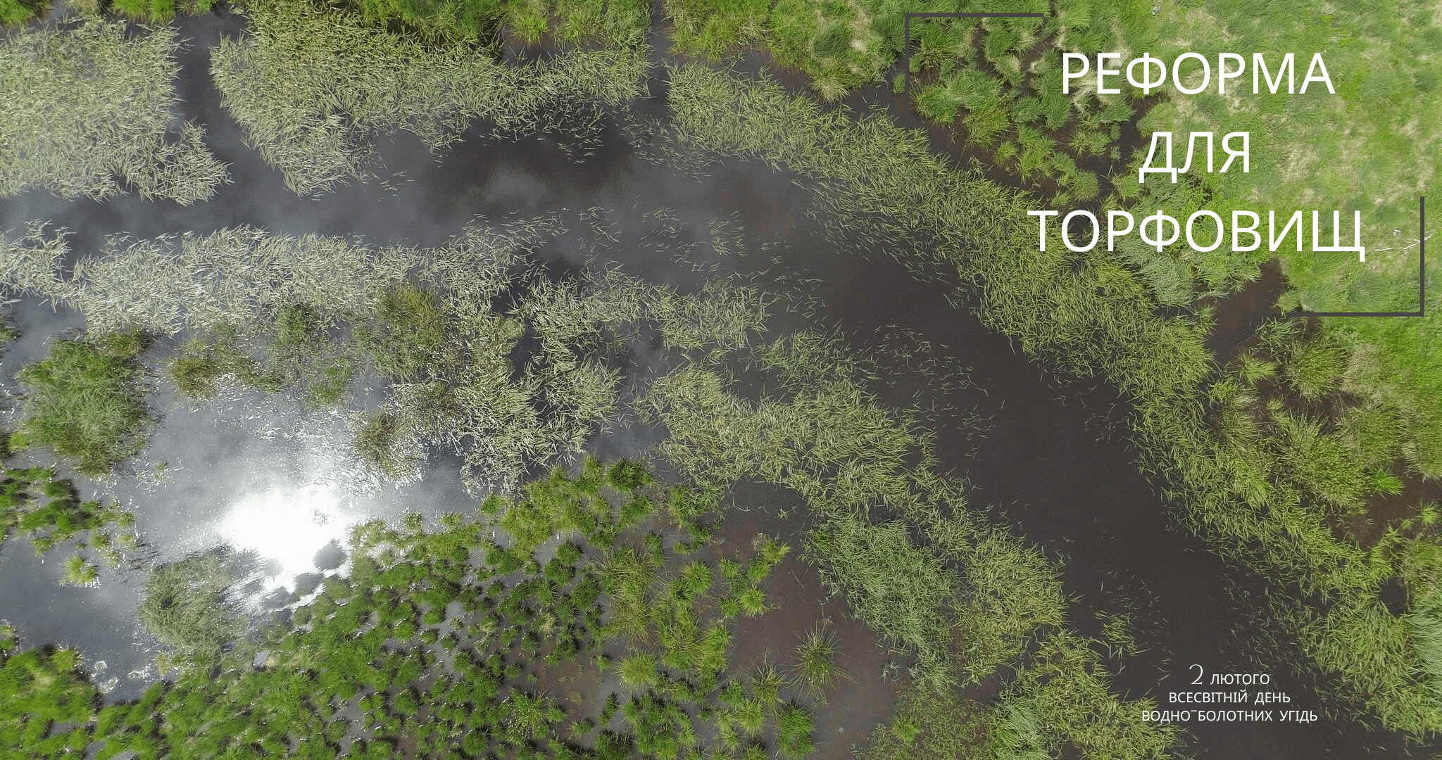 Врятувати торфовища: природоохоронці закликають до реформи