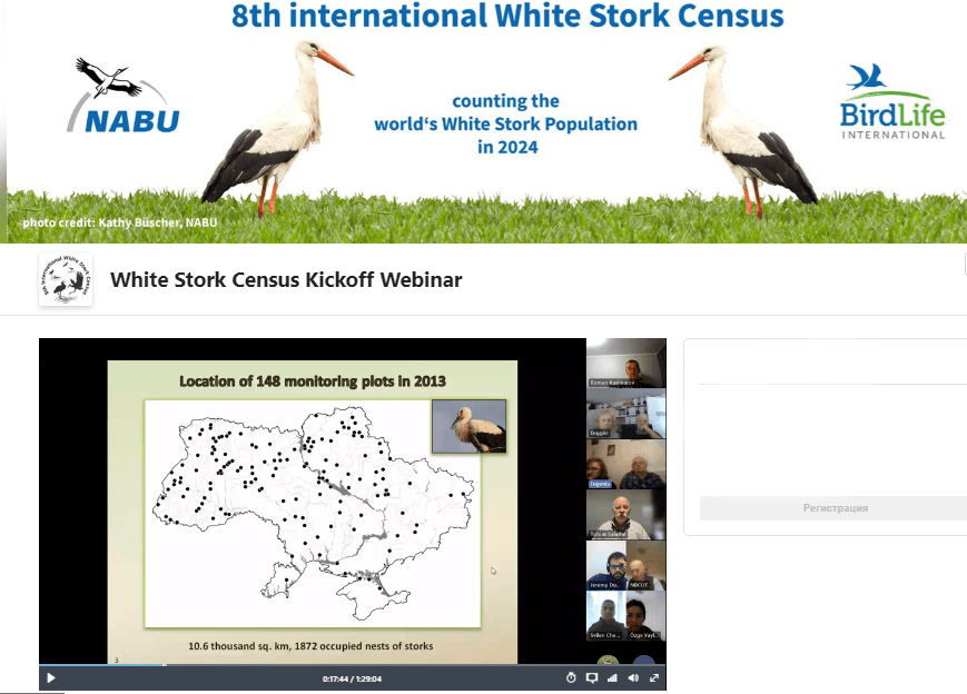 Міжнародний семінар до VIII обліку лелеки білого