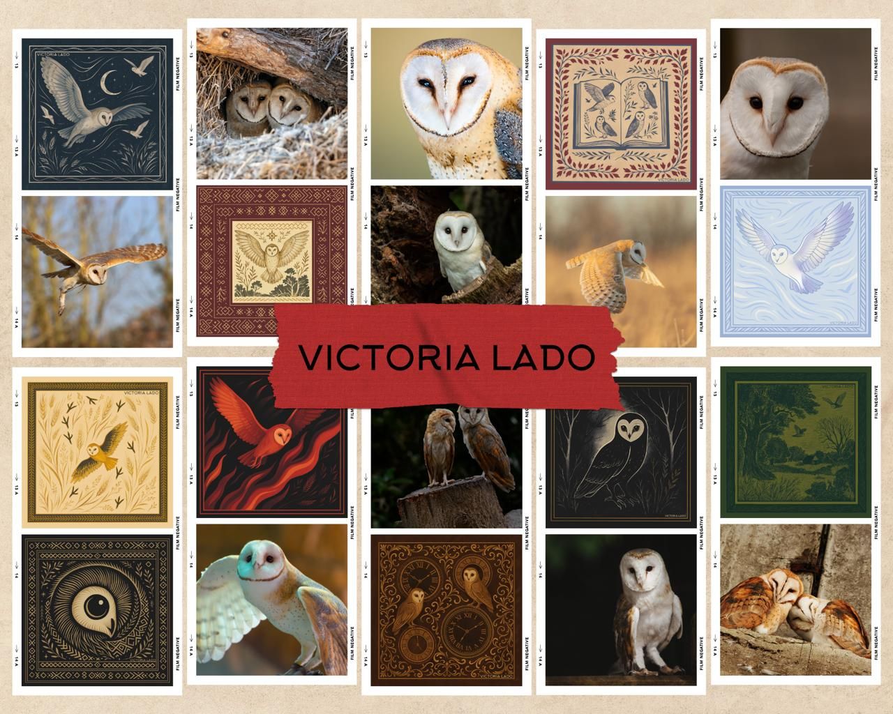 Victoria Lado та Українське товариство охорони птахів: партнерство, народжене турботою