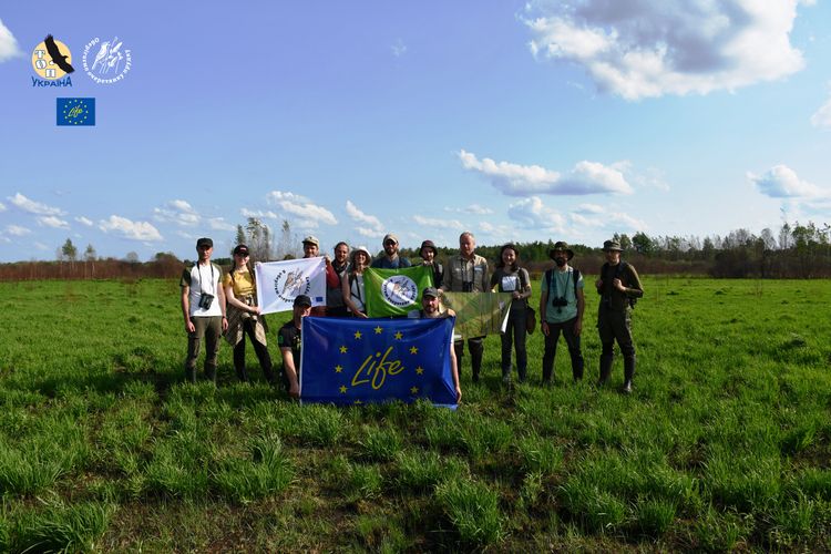На Волині стартував моніторинг очеретянки прудкої в рамках проєкту LIFE4AquaticWarbler