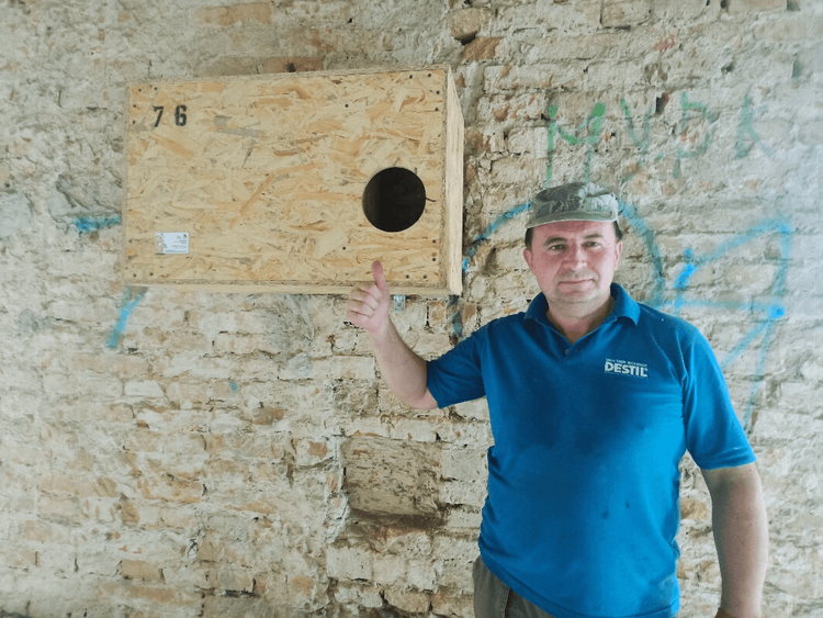 Приваблення сипухи у Львівській області: крок до відновлення популяції