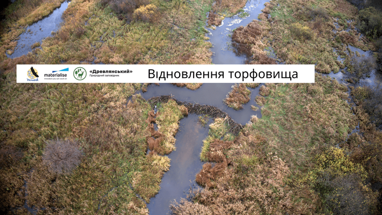 Відновлення торфовища у природному заповіднику «Древлянський»