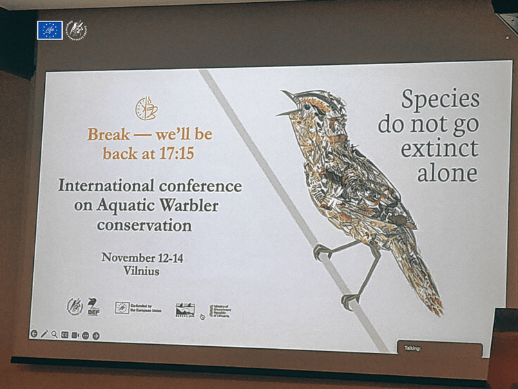 Міжнародна конференція щодо збереження найрідкіснішого співочого птаха Європи – очеретянки прудкої 