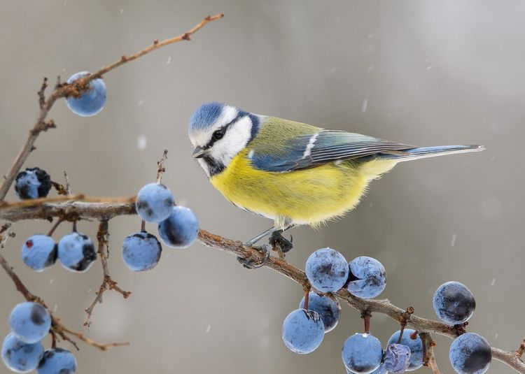 Фотовиставка Миколи Кириченка «Краса в природі» 