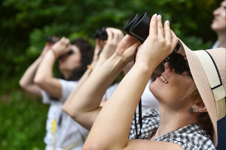 ТОП-локації Києва для спостереження за птахами