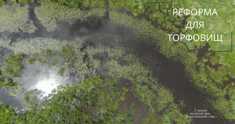 Врятувати торфовища: природоохоронці закликають до реформи