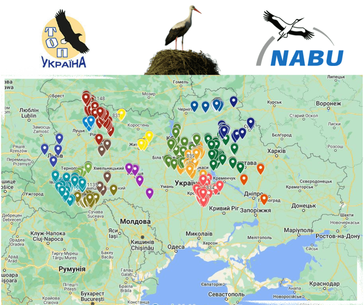 VIII Міжнародний облік лелек в Україні: Відкриті дані спостережень