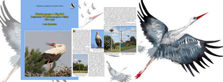 В. М. Грищенко "Результати VIII Міжнародного обліку лелек"