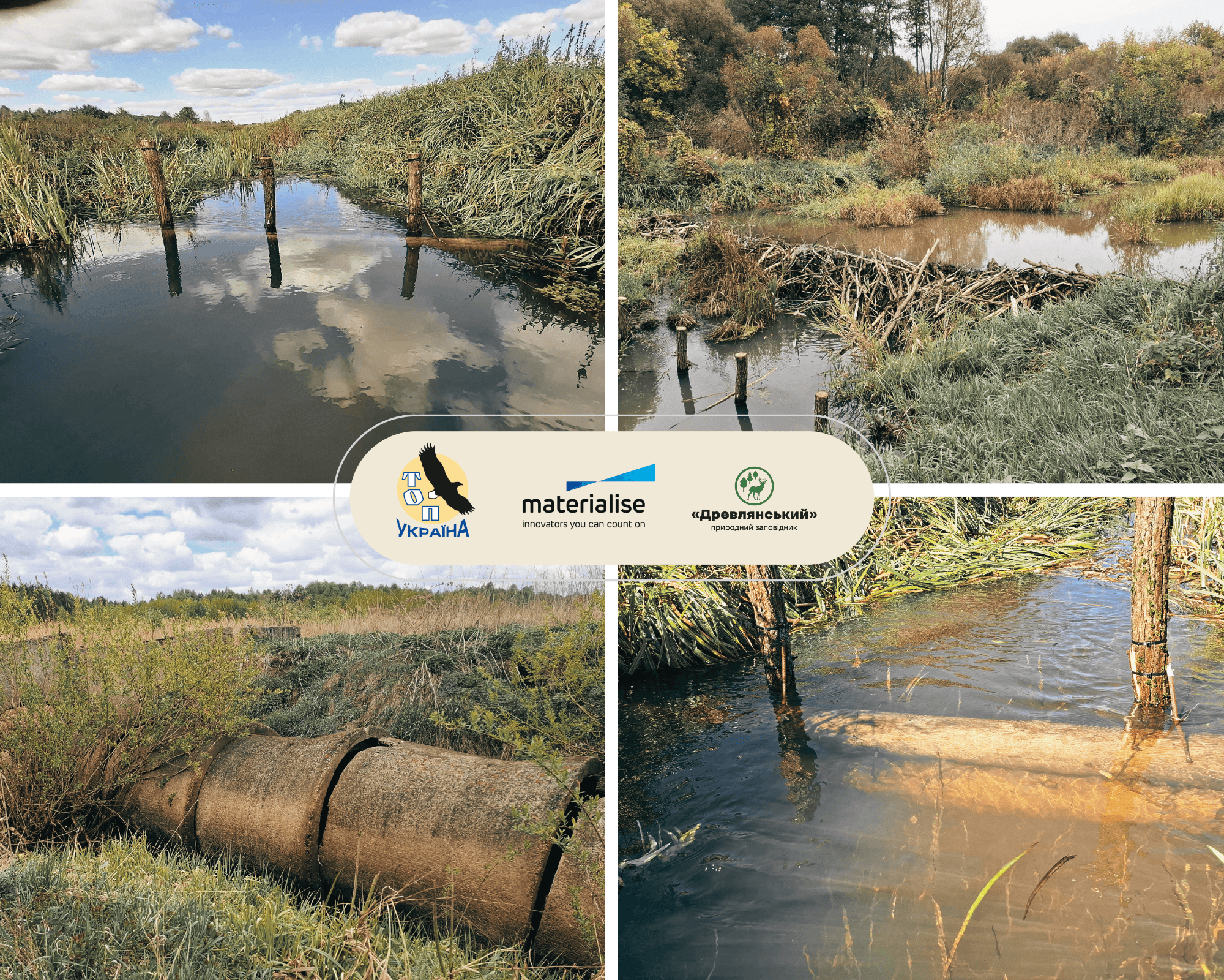 Ревіталізація торфовищ у заповіднику «Древлянський»