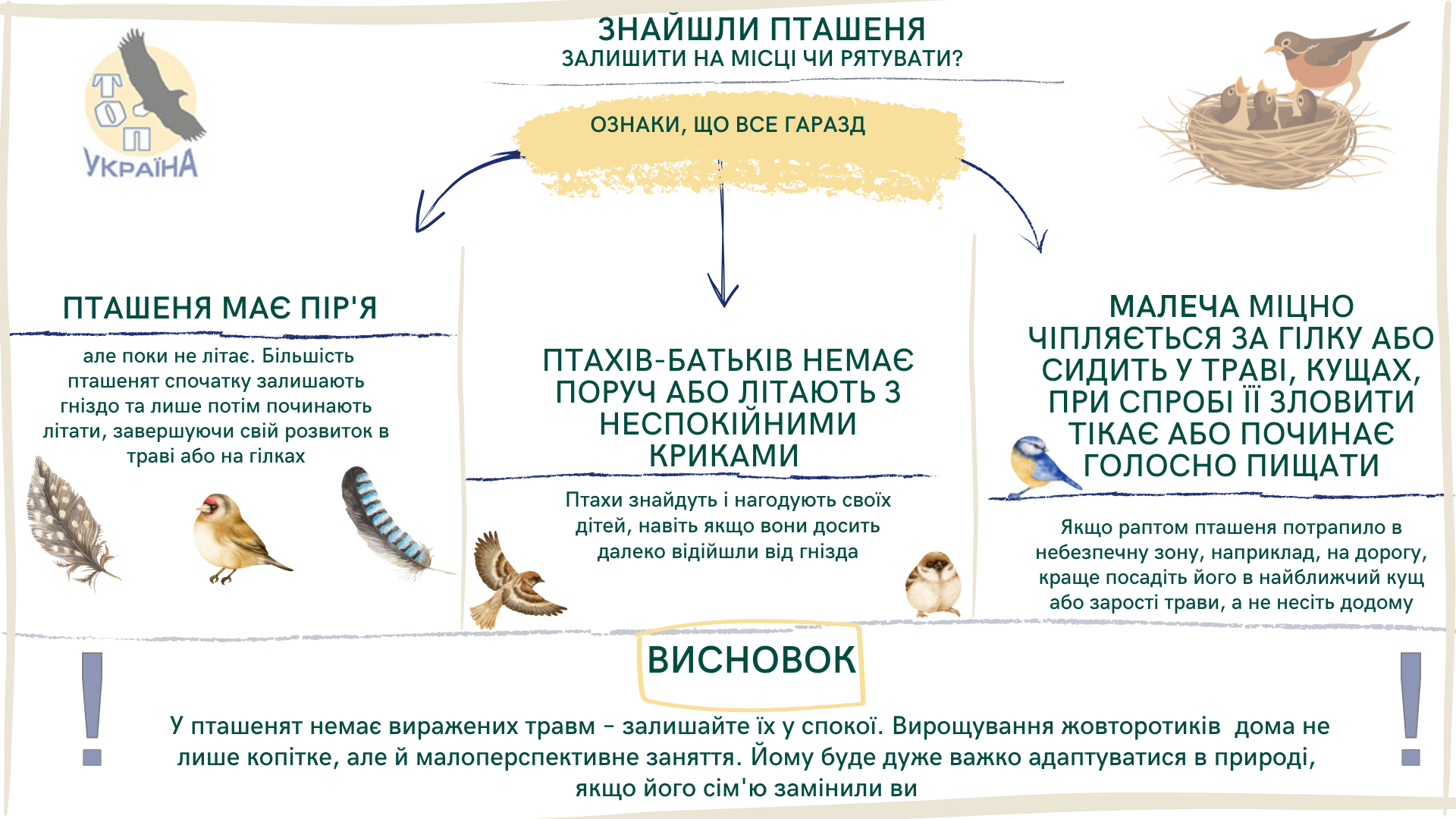 знайшли пташеня залишити на місці Чи рятувати.png